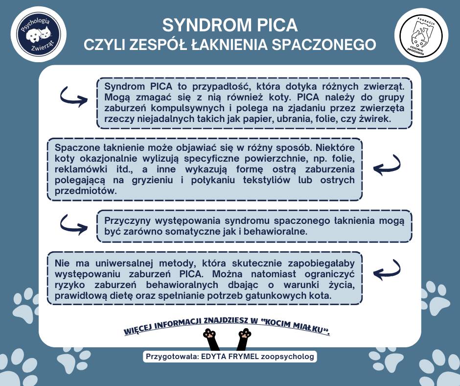KOCIE PORADY Temat: SYNDROM PICA