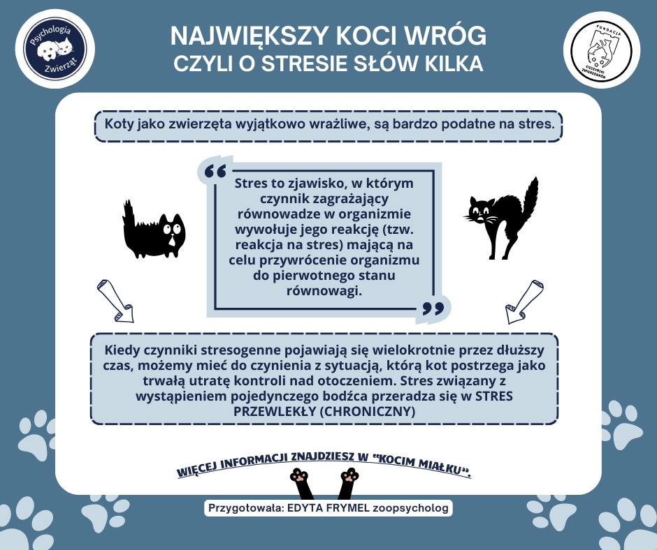 NAJWIĘKSZY KOCI WRÓG