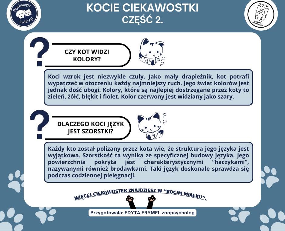 KOCIE CIEKAWOSTKI kolejna część.